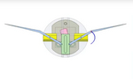 3D animation of Seyhan's wing flapping mechanism version 2