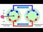 Closed Loop Hydraulic Transmission