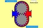Gear Pump