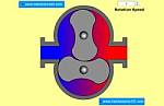 Two Lobe Roots Pump