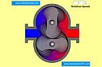 Two Lobe Helical Roots