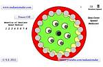 Cycloidal Speed Reducer
